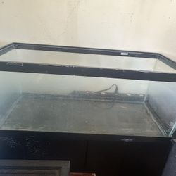 Fish Tanks 