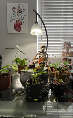 SANSI Dimmable Grow Light Bulb (Remote Controlled)