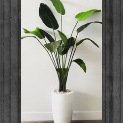 bird of paradise artificially  plant with base 6 feat 
