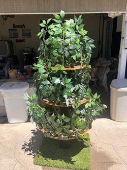 Cat Tree