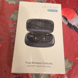 Wireless Bluetooth Earbuds