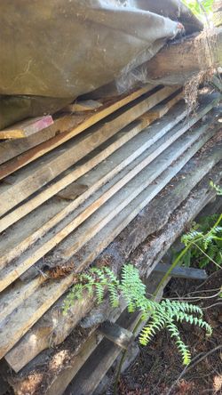 Wood. Planks and firewood