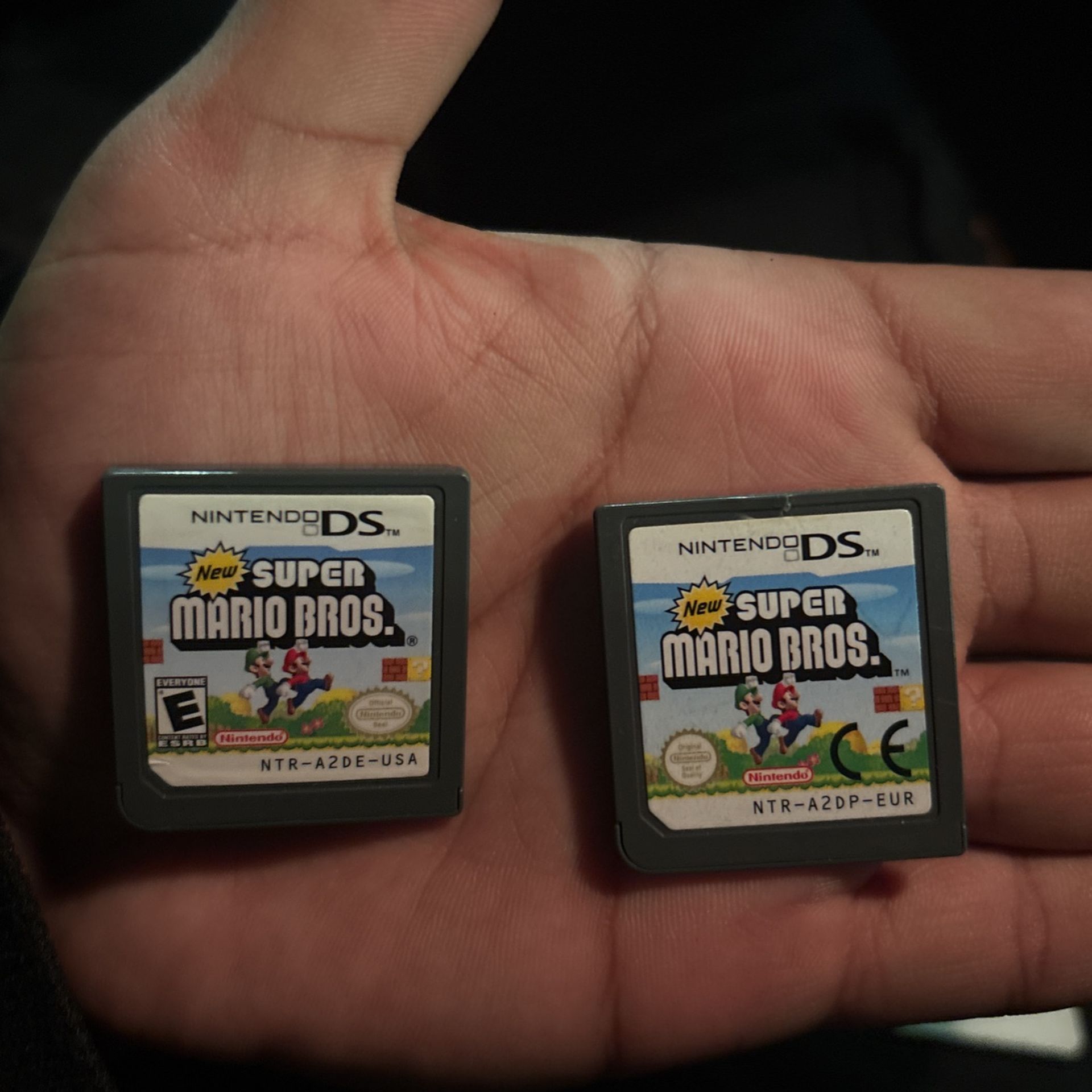 Nintendo DS Super Mario Bros