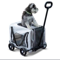 Pet Carrier 