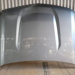 2019-2022 Chevy Silverado Hood OEM 