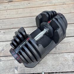 Bowflex 1090 Dumbbell Single 