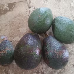 Aguacates Organicos
