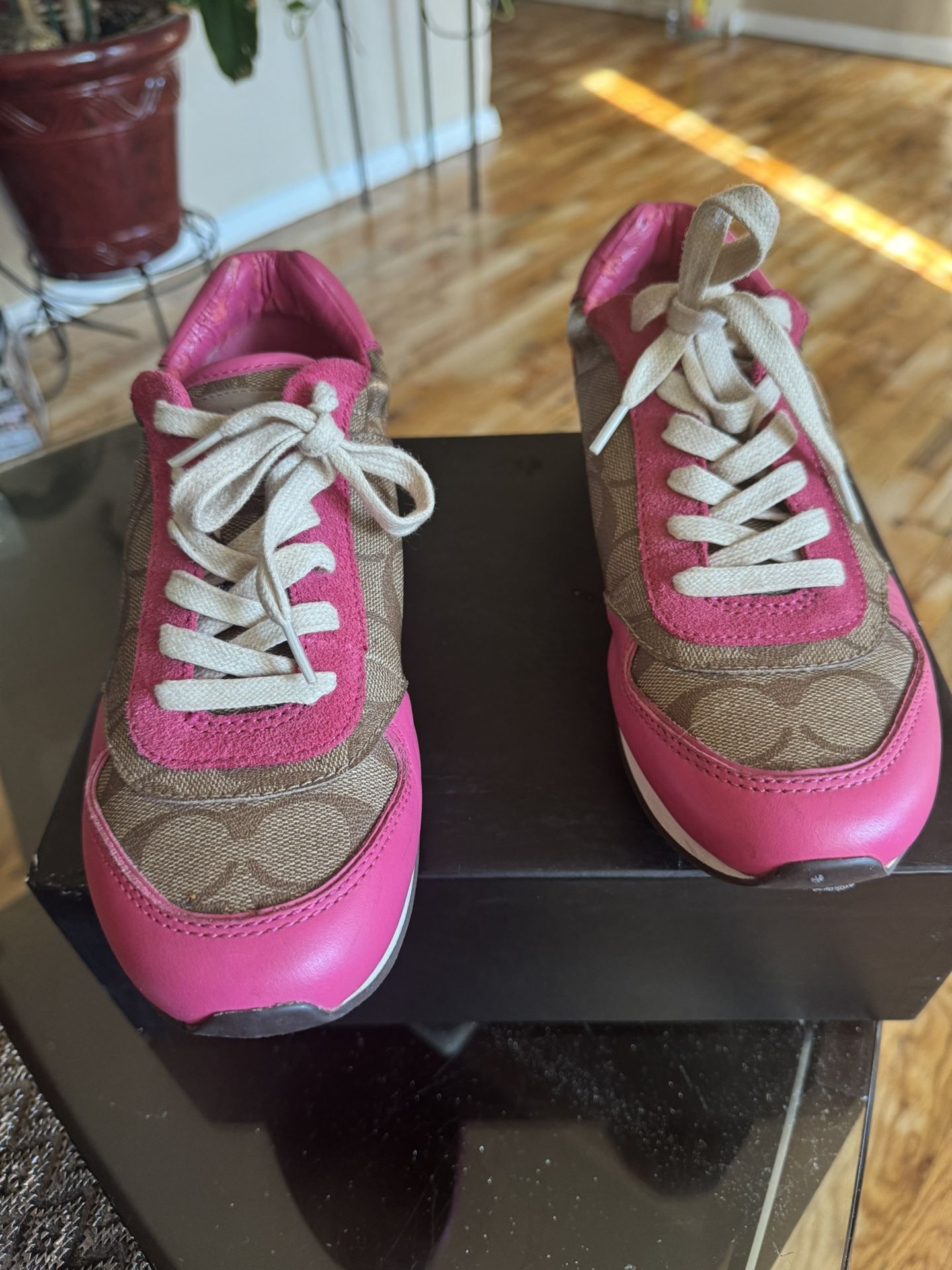Pink Coach Sneakers
