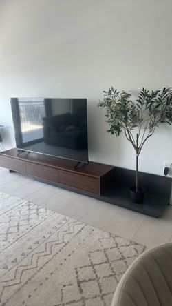 Extendable Modern TV Stand