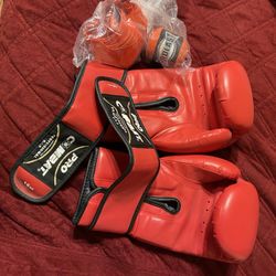 Martial Arts Gloves