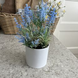 Faux Plant $5