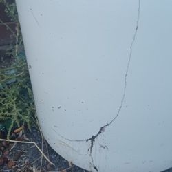 Lrg White Ceramic Outdoor Tree Planter