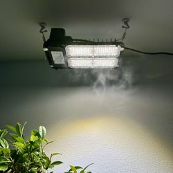 Sansi 100w Full Spectrum Grow Light