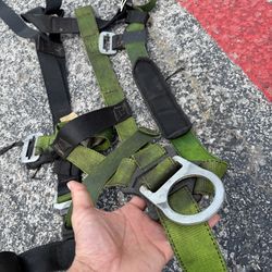 Harness