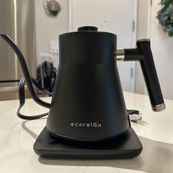 Ecorelax Gooseneck Electric Kettle 