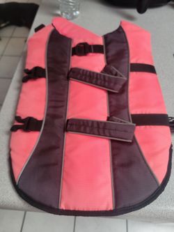 Dog life vest