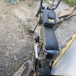 Mini Bike