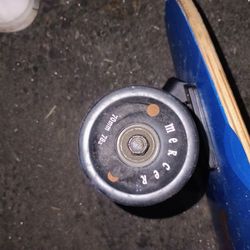 Long Board