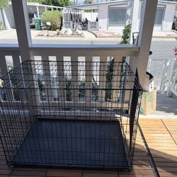 XL Dog crate PETCO