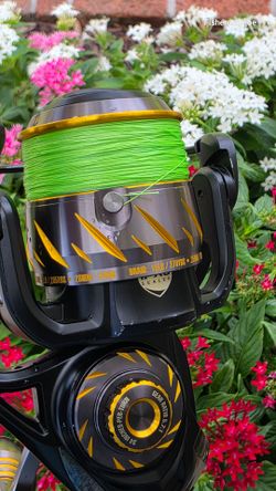 Penn Authority Reel/New Braid/New Rod