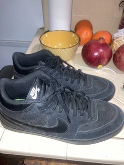 Nike SB skating shoes