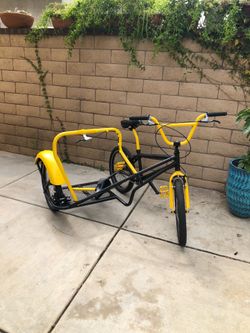 Customized BMX Sidehack - Like New