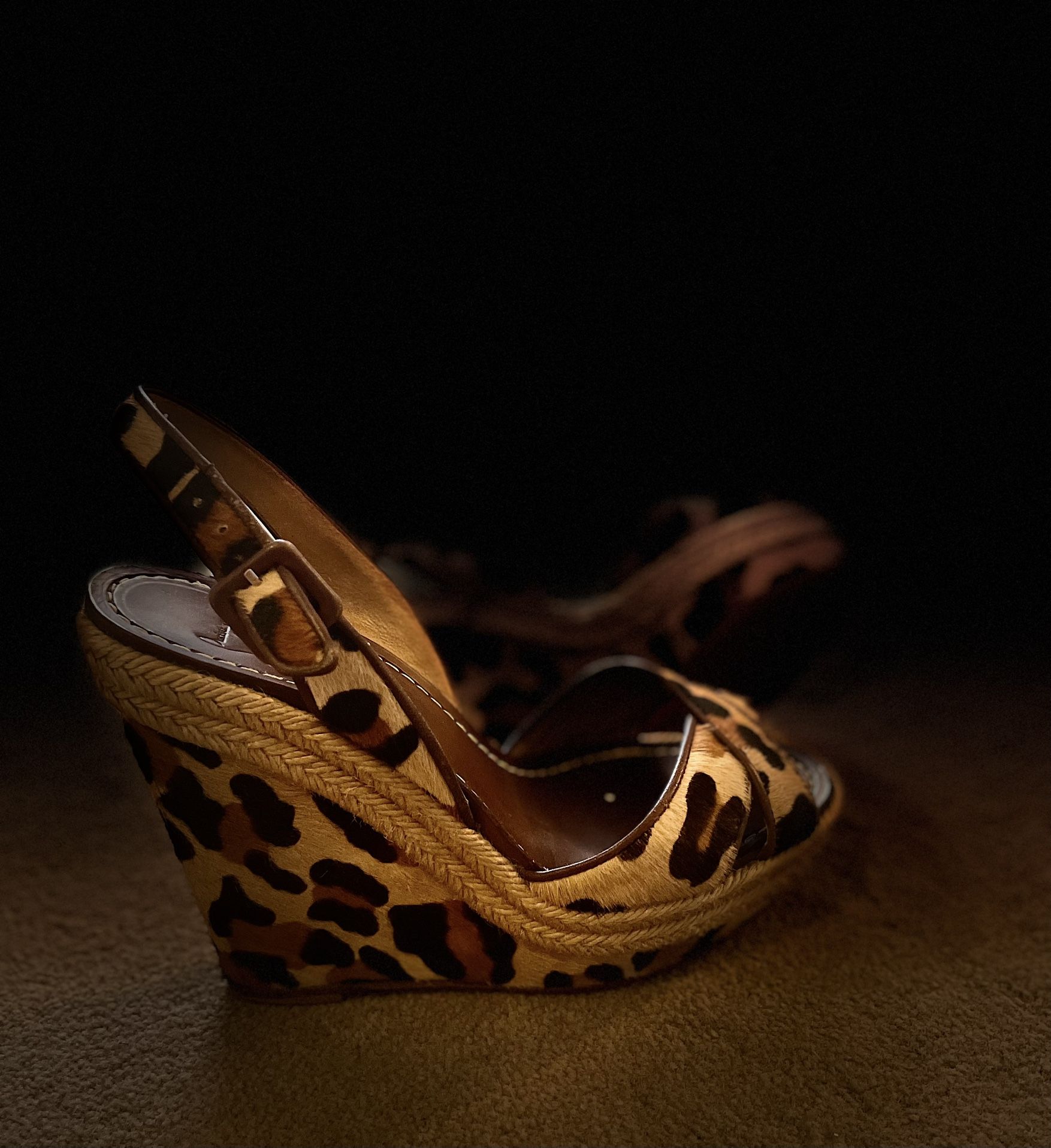 Christian Louboutin ( Red Bottoms )