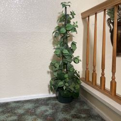 Artificial plant about 4 feet tall