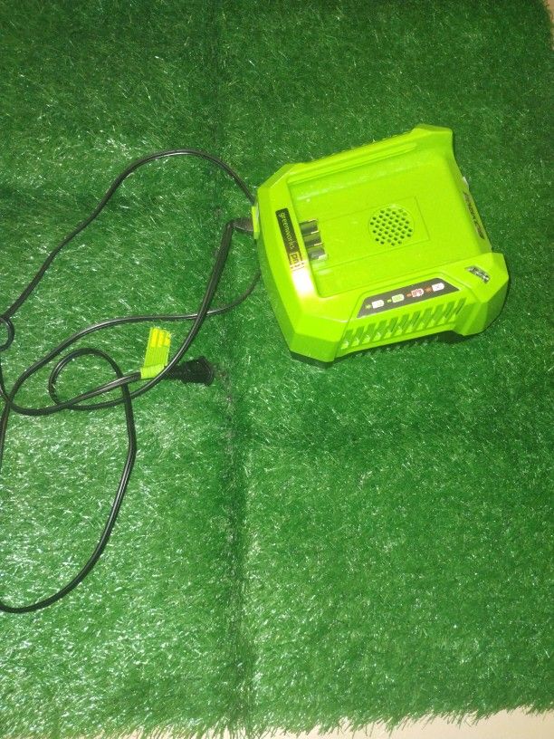 Greenworks Pro 80 Volt Lithium Max Charger