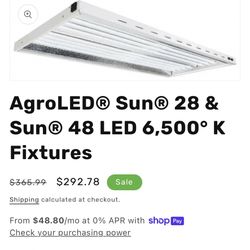 Led Lights