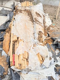 Free oak wood