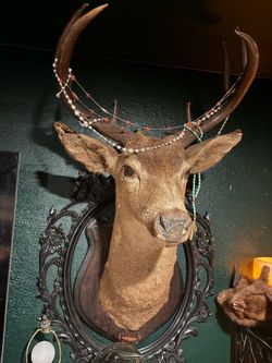 Wall mount