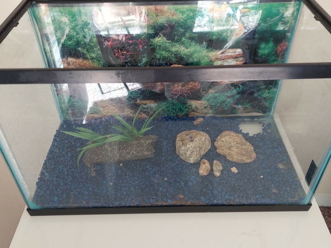 10 Gallon Aquarium