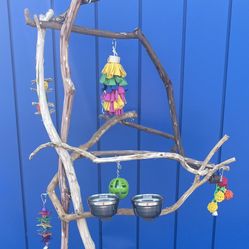 Simple Cockatiel Conure Play Tree ! 