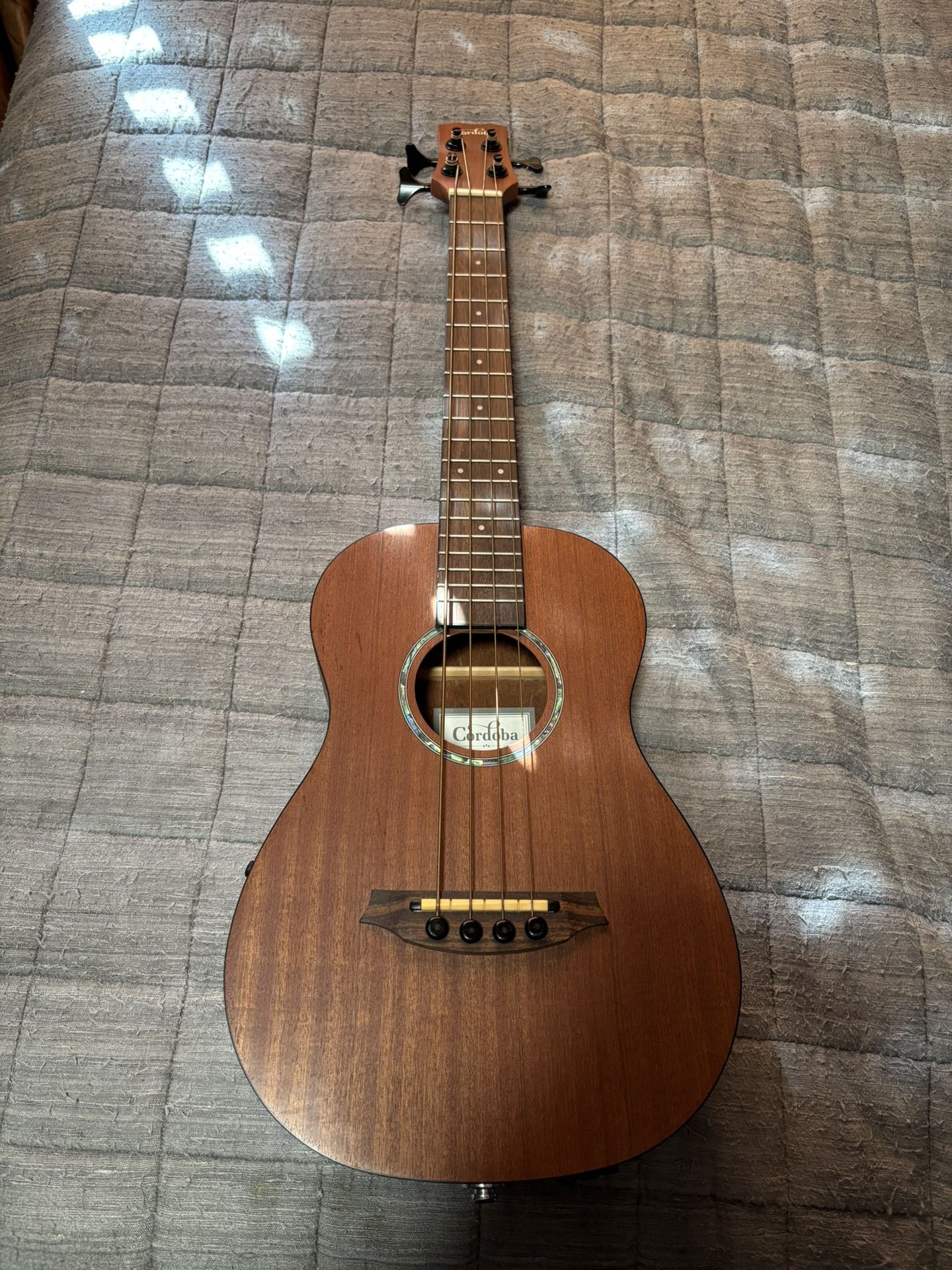 Cordoba Bass Guitar 