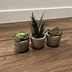 Small Faux Succulent Plants