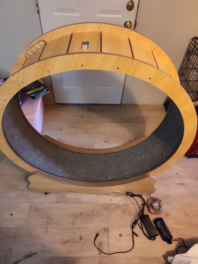 Giant Cat Wheel
