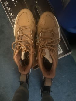 New Adidas Brown 