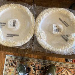 Large Buffing Pads (2)