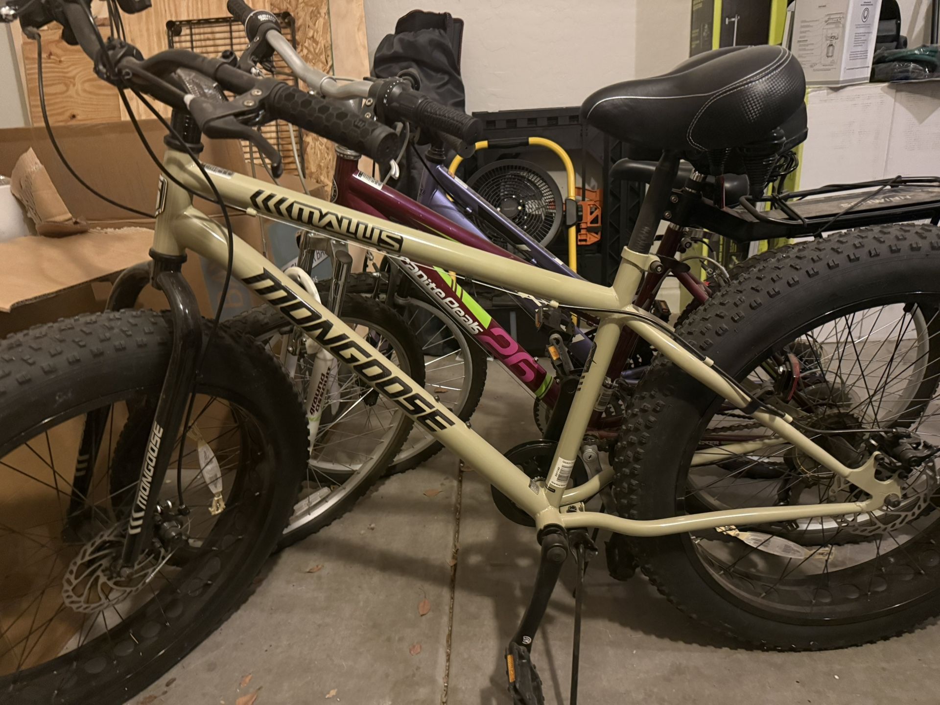Mongoose Malus Fat Tire Bike