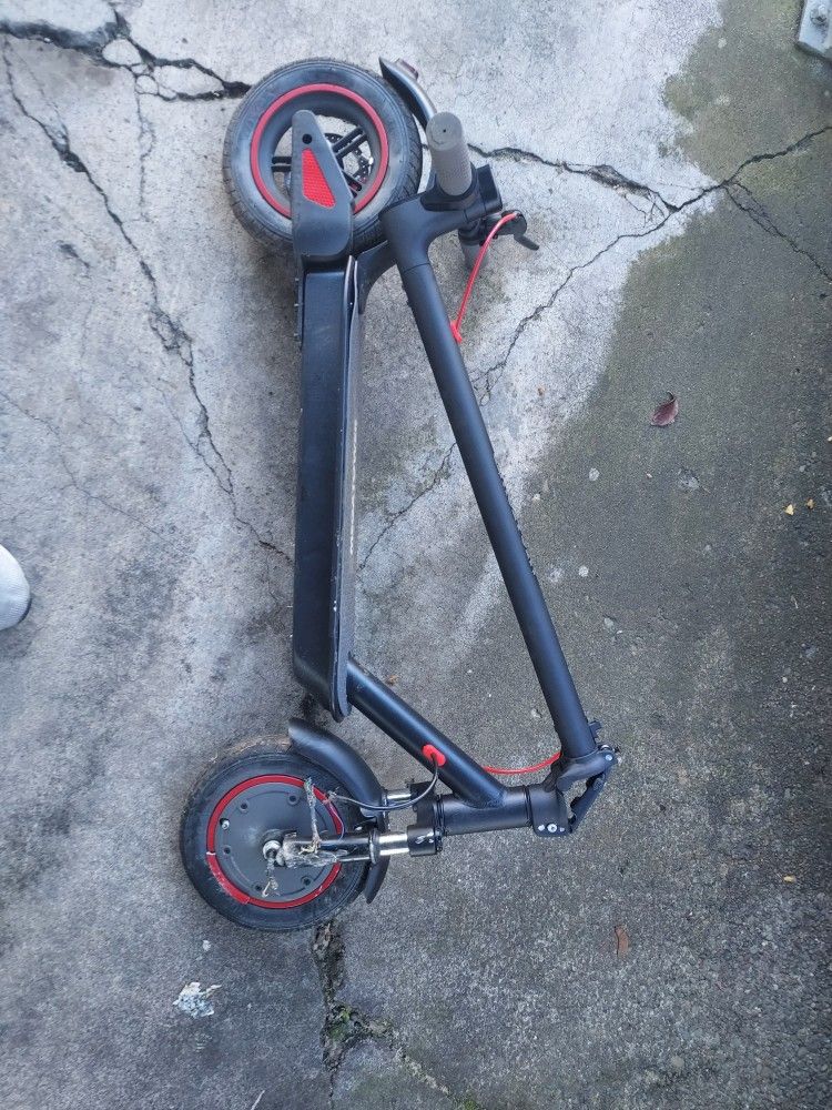 Scooter 