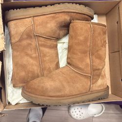 Uggs 