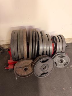 665 LBS Olympic Weight Plates + Storage Rack