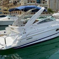 2008 26ft Monticello Boat