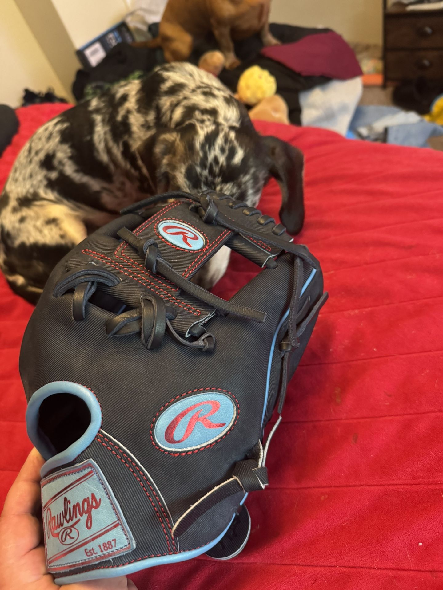 Rawlings 11.5 Inch Glove