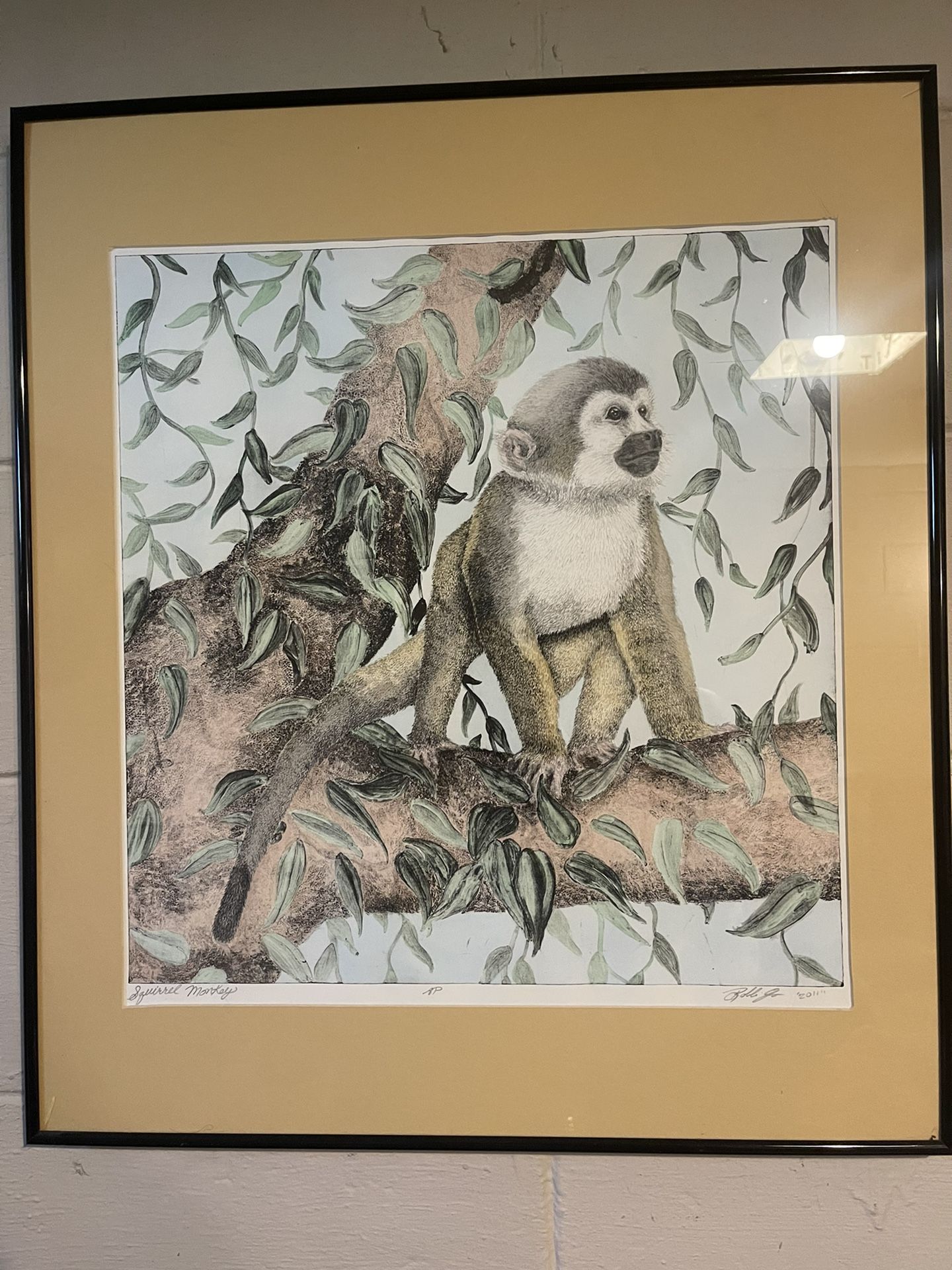 Squirrel monkey framed sketch