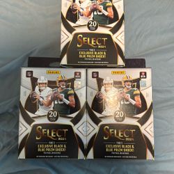 Select 2024 Panani Lot Of 3 