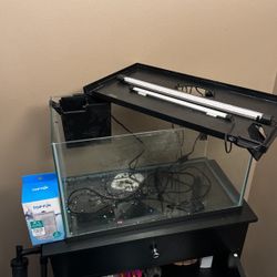 10 Gallon Fish Tank 