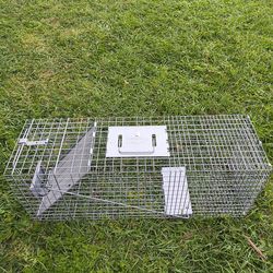 Animal trap