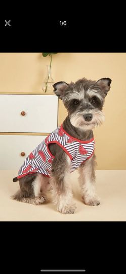 pet shirt